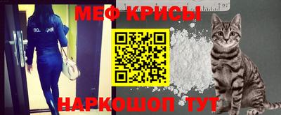 тгк Бийск