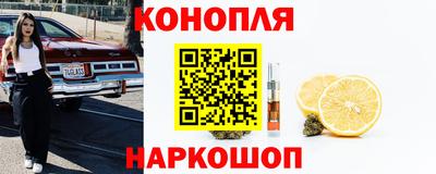 тгк Бийск