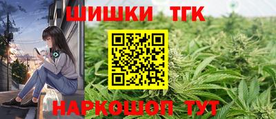 тгк Бийск