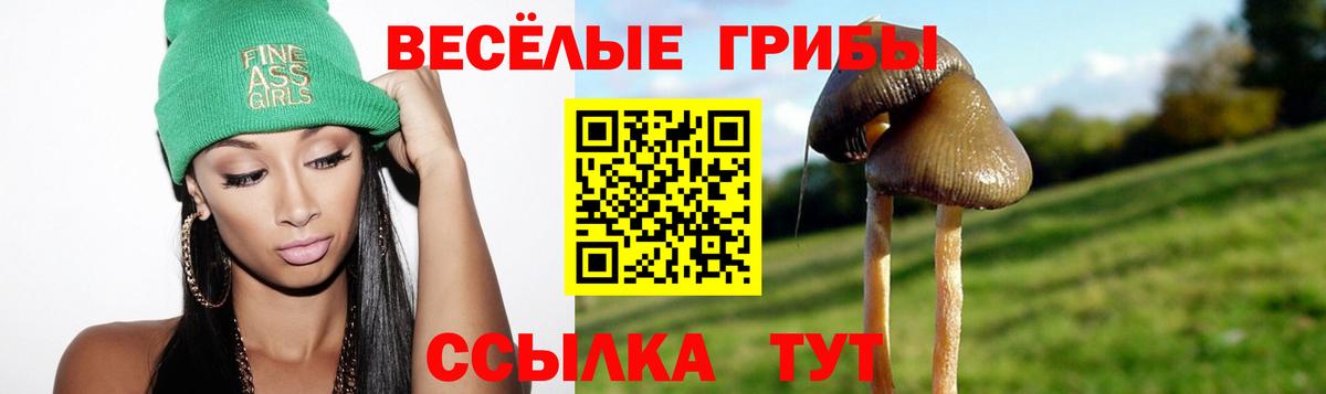 Ижевск  Псилоцибиновые грибы Psilocybine cubensis  Вход с VPN 